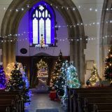 Christmas Tree Festival