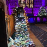 Christmas Tree Festival