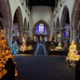 Christmas Tree Festival