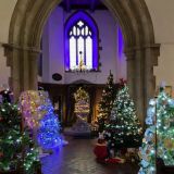 Christmas Tree Festival