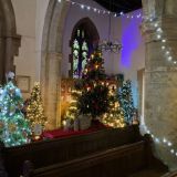 Christmas Tree Festival