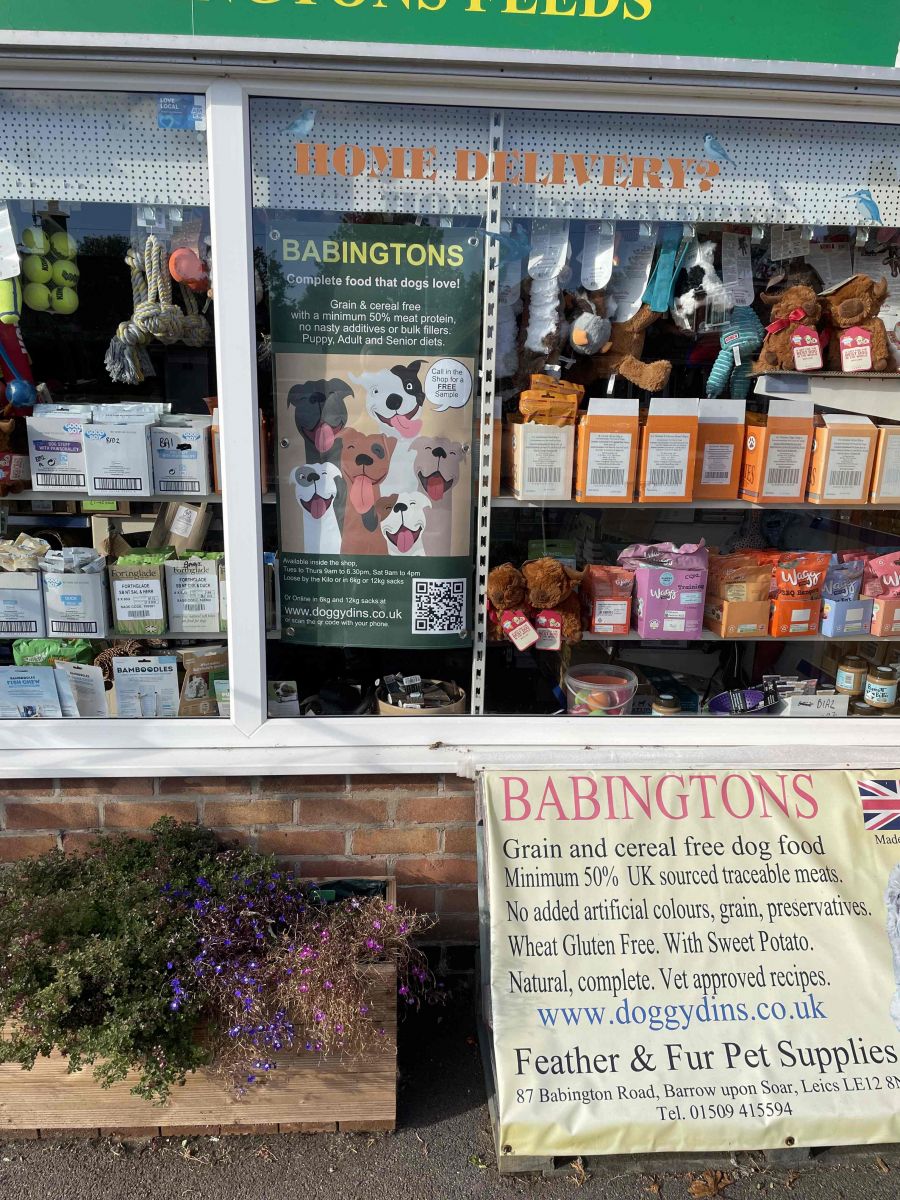 shop front 26